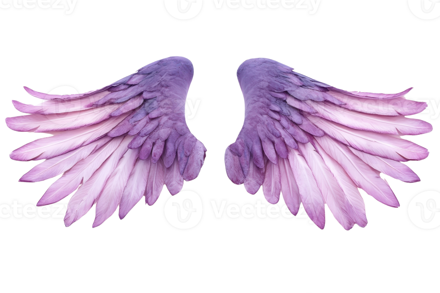 Beautiful purple and pink angel wings isolated on transparent background. Ideal for creative designs, fantasy themes, and inspirational projects. png