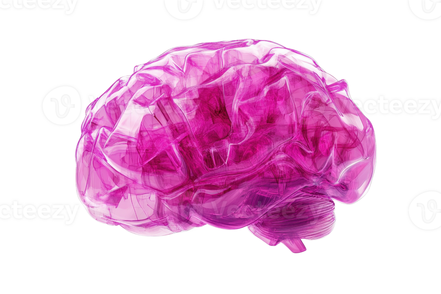 Colorful, artistic rendition of a human brain, purple and translucent with intricate details, isolated on a transparent background. png