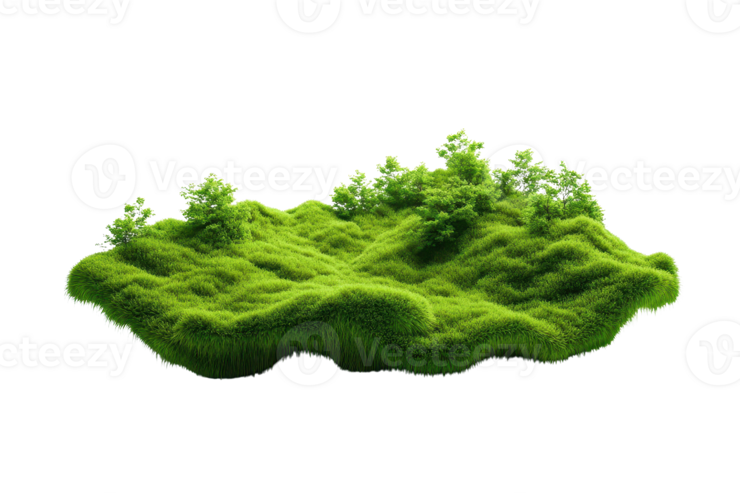 A lush, green patch of moss isolated on a transparent background. showcasing its natural texture and vibrant color. png