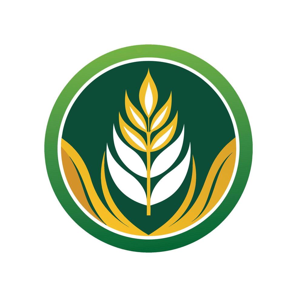 Hand drawn wheat collection vector