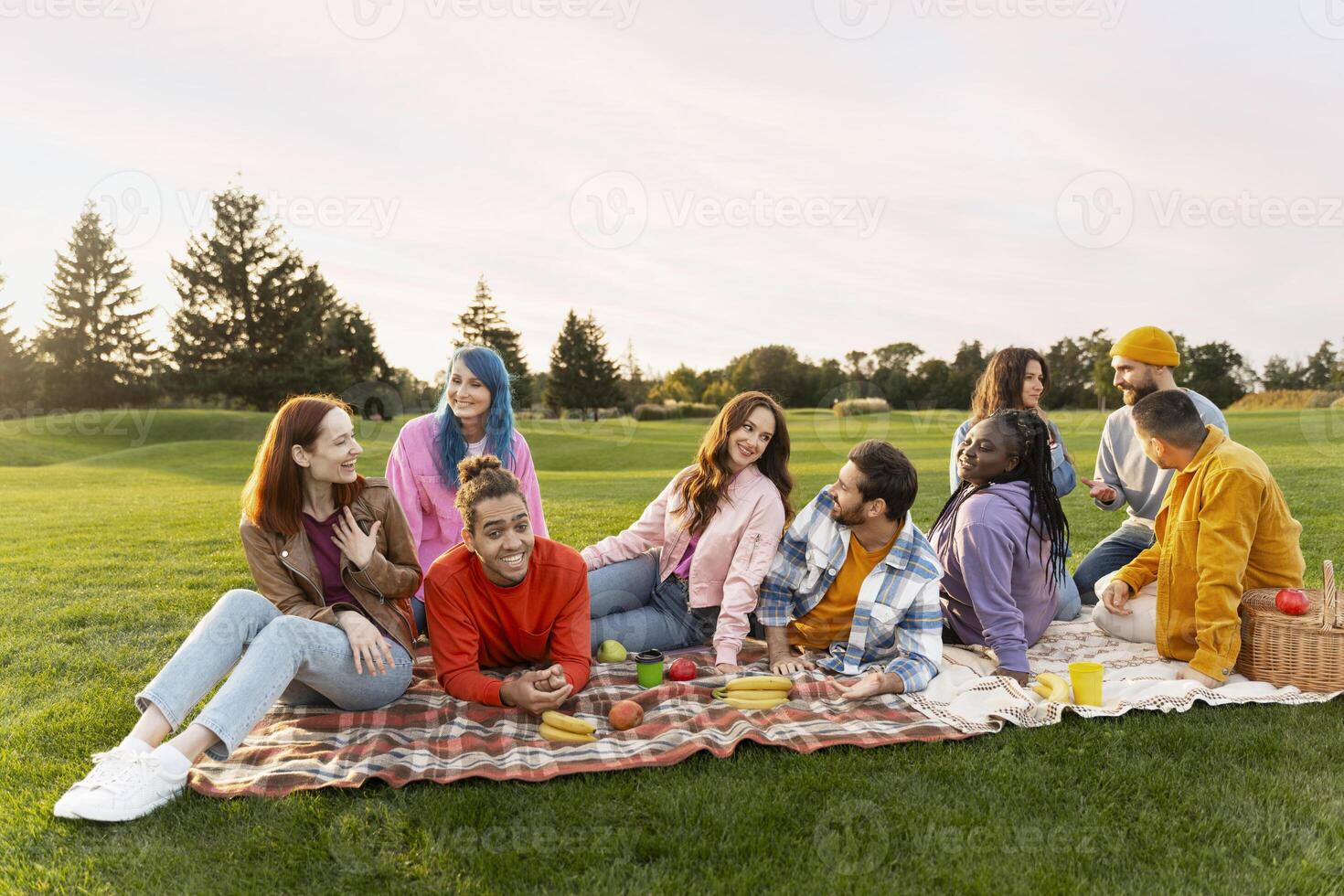 Group of friends having fun, relaxing, enjoying picnic on summer meadow at sunset time photo