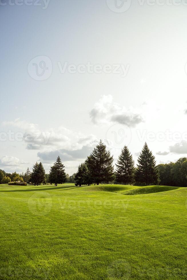 Green grass is covering the golf course on a sunny day photo