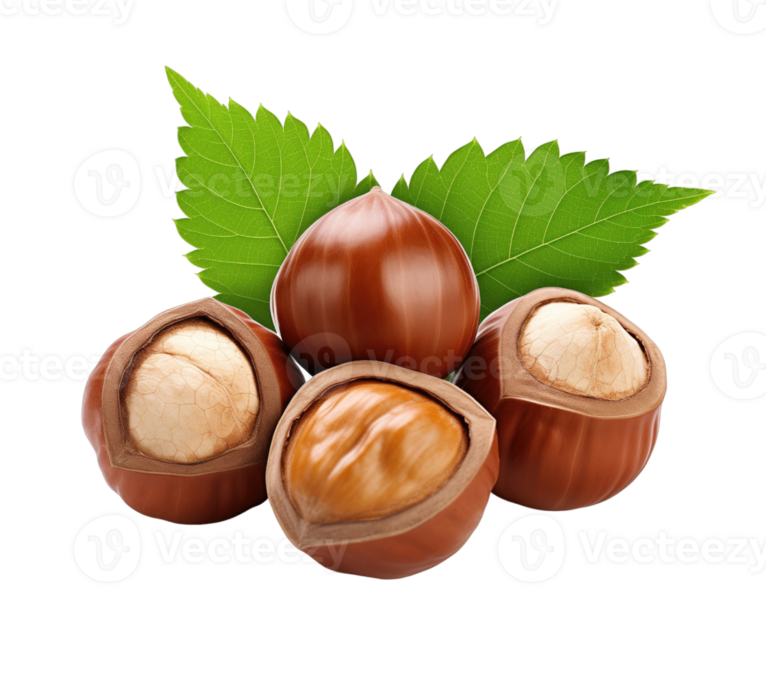 Hazelnut with leaves isolated on transparent background png