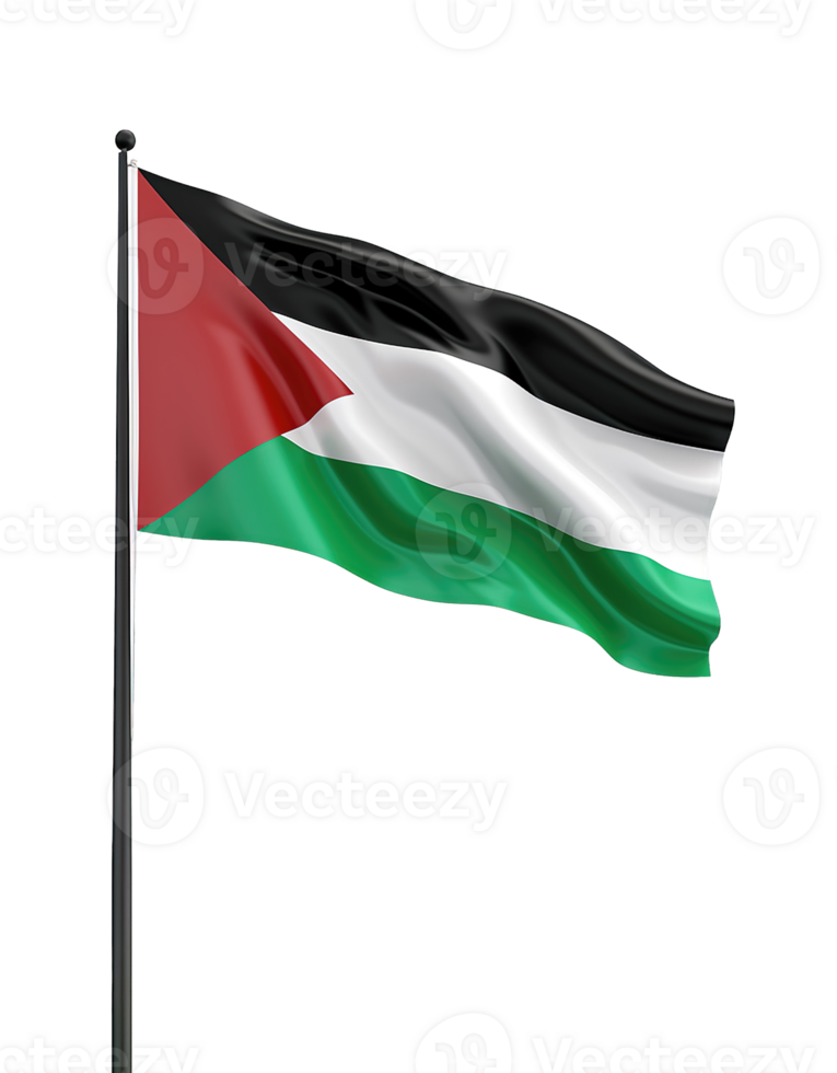 Palestine Flag isolated on transparent background png