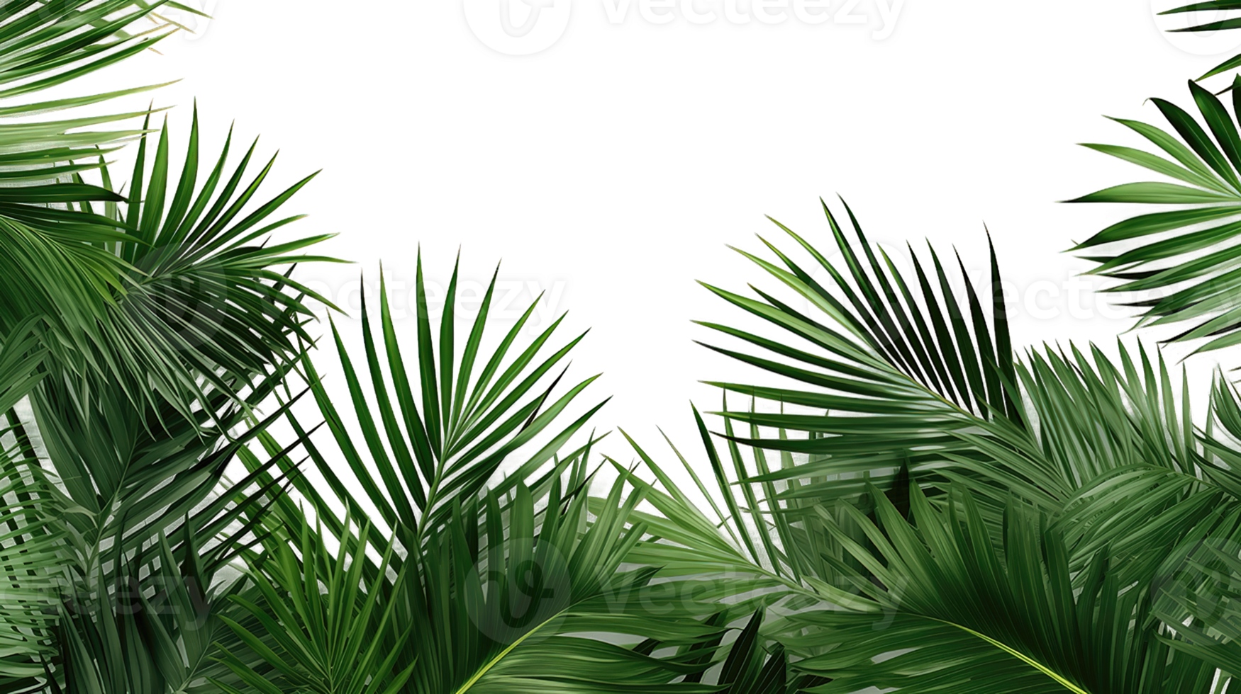 Overlay texture border of fresh green tropical plants with palm tree leaves isolated on transparent background png
