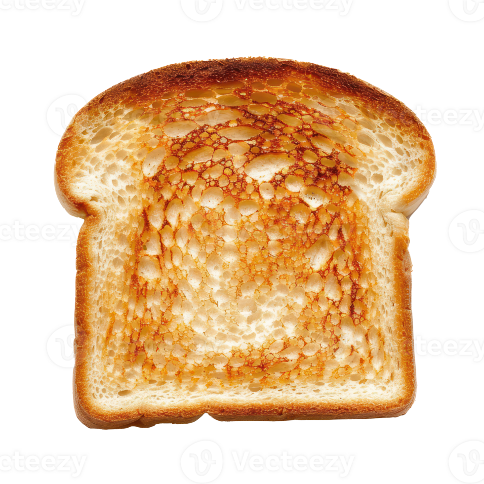 Bread Toast front view full length isolate on transparency background png