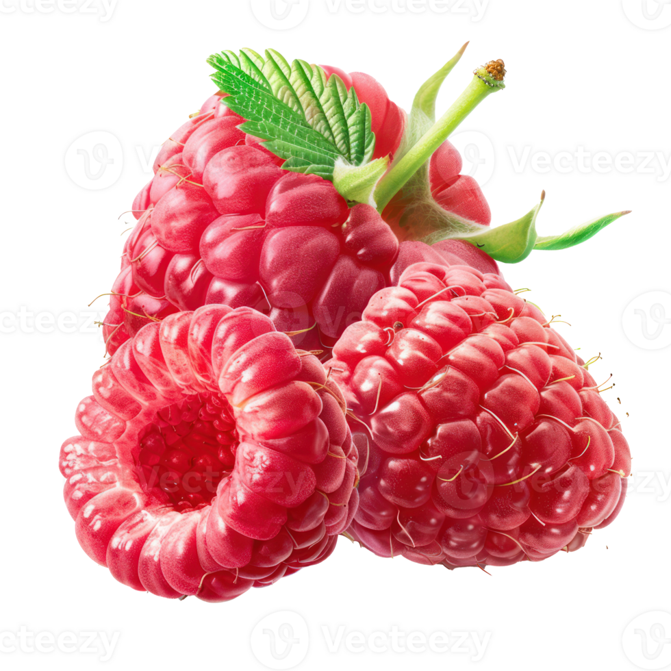 Raspberry whole and a half, clipping path isolate on transparency background png