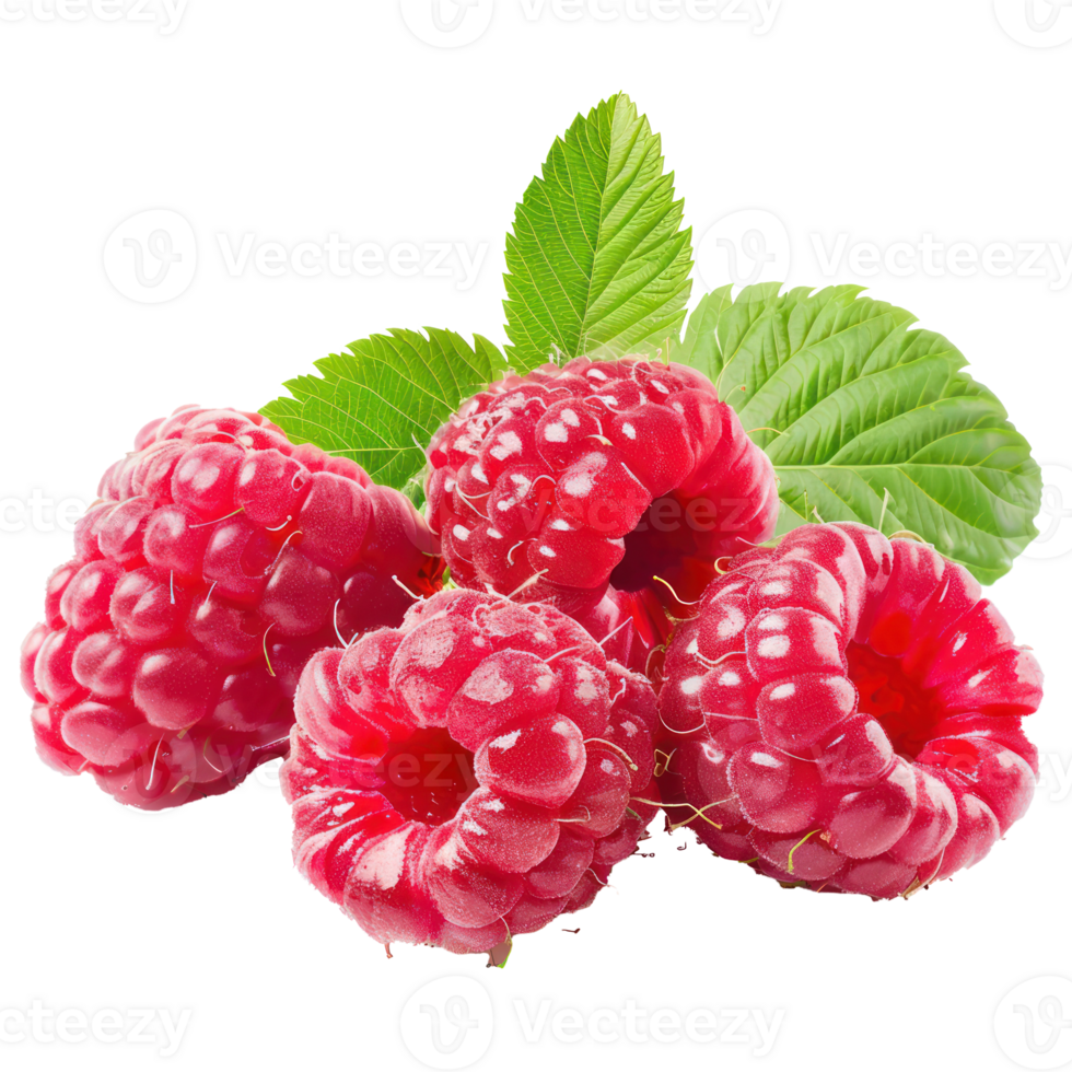Raspberry with a slice Raspberry isolate on transparency background png