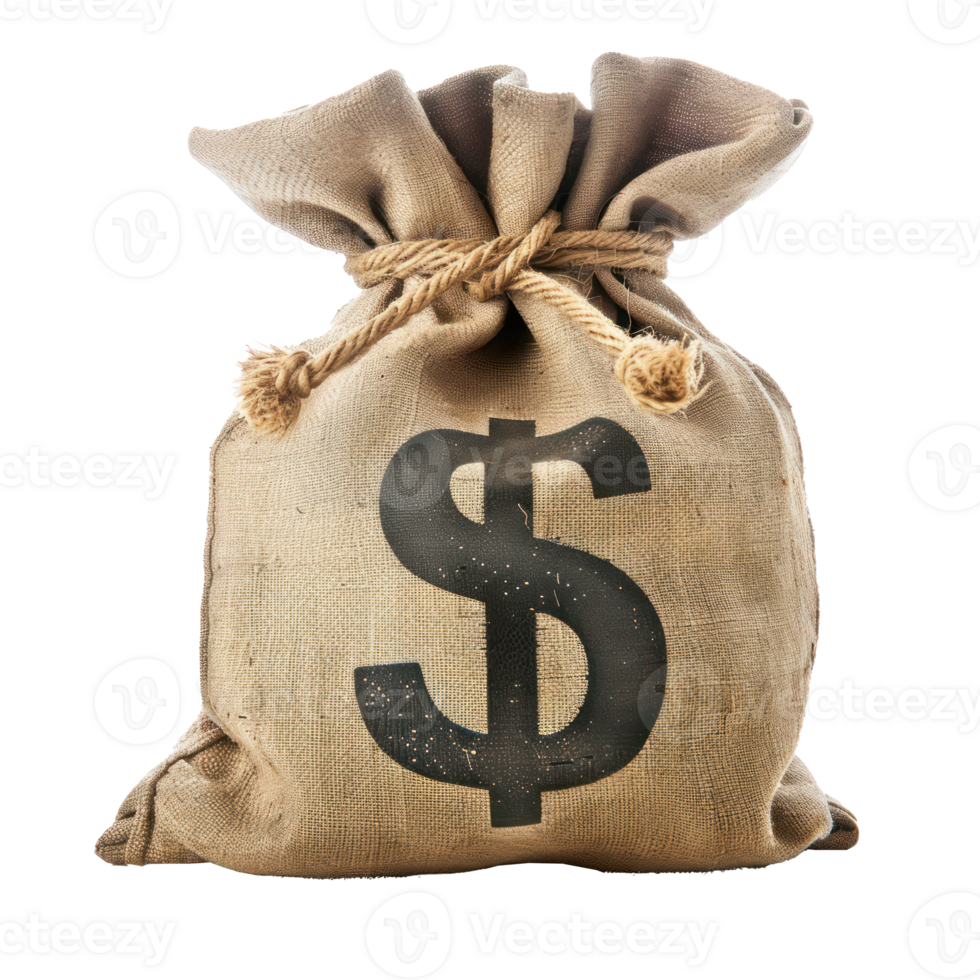 Money bag with on it isolate on transparency background png