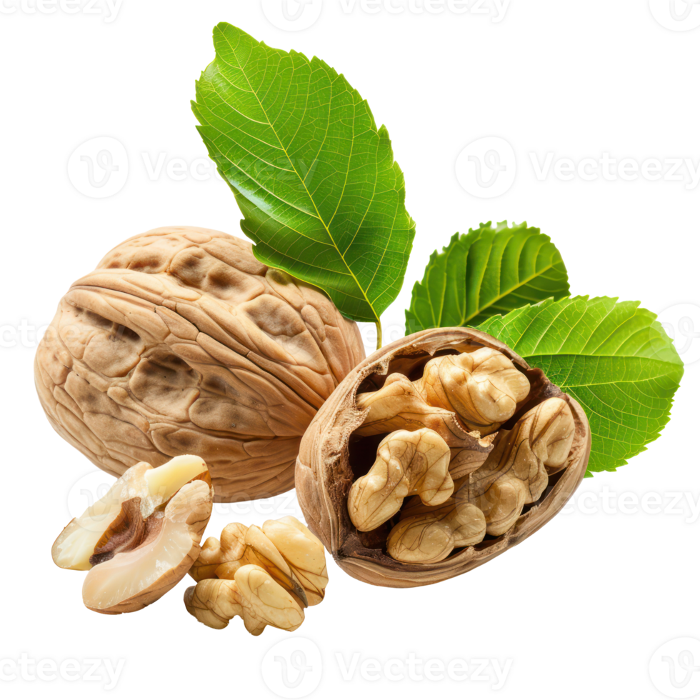 Walnuts with leaves isolate on transparency background png