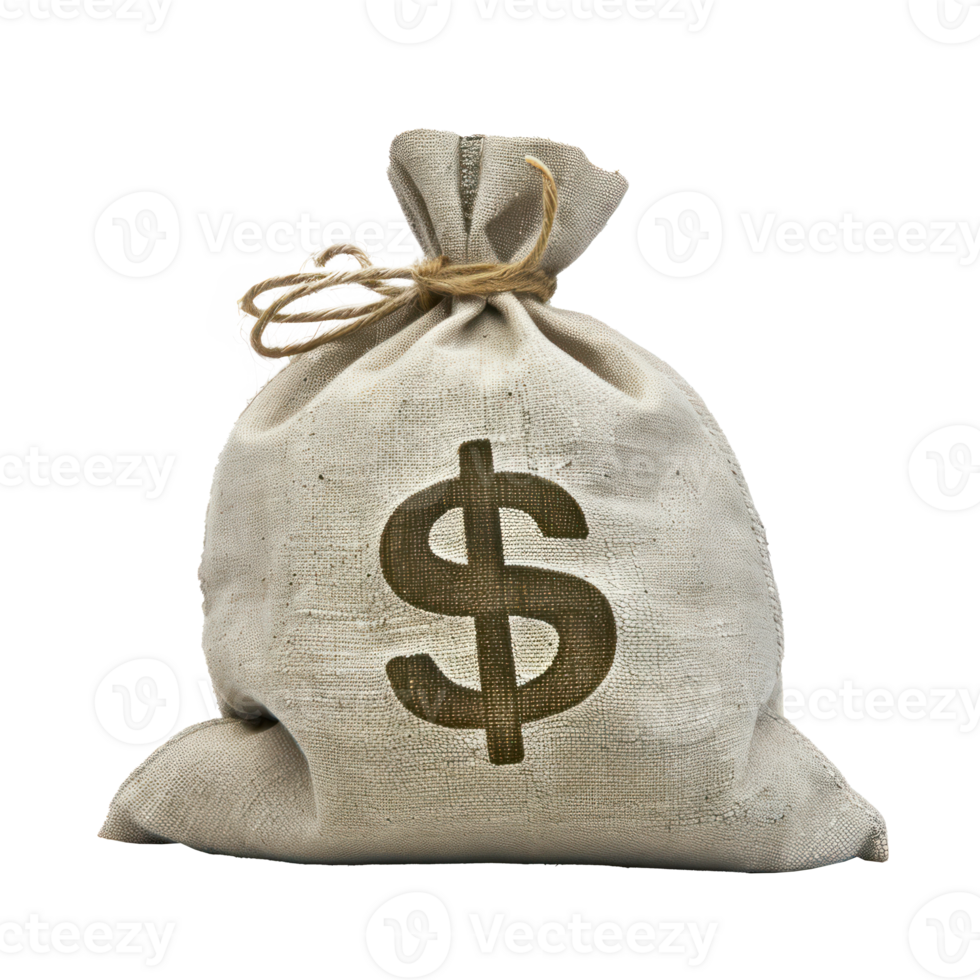 Money bag isolate on transparency background png