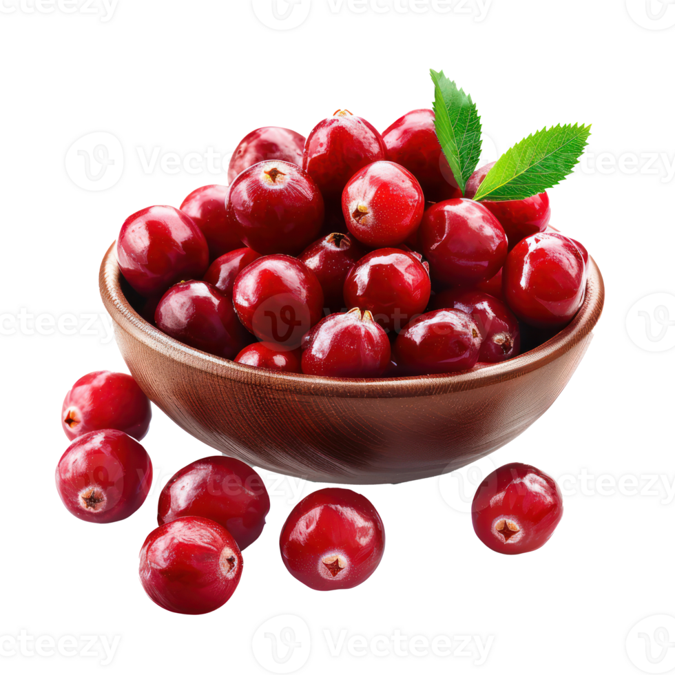 Fresh Cranberry, clipping path isolate on transparency background png
