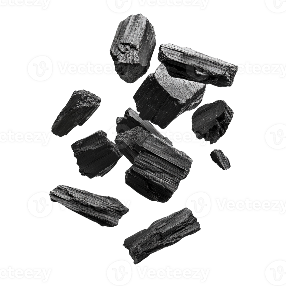 Black Charcoal Pieces on Transparent Background png