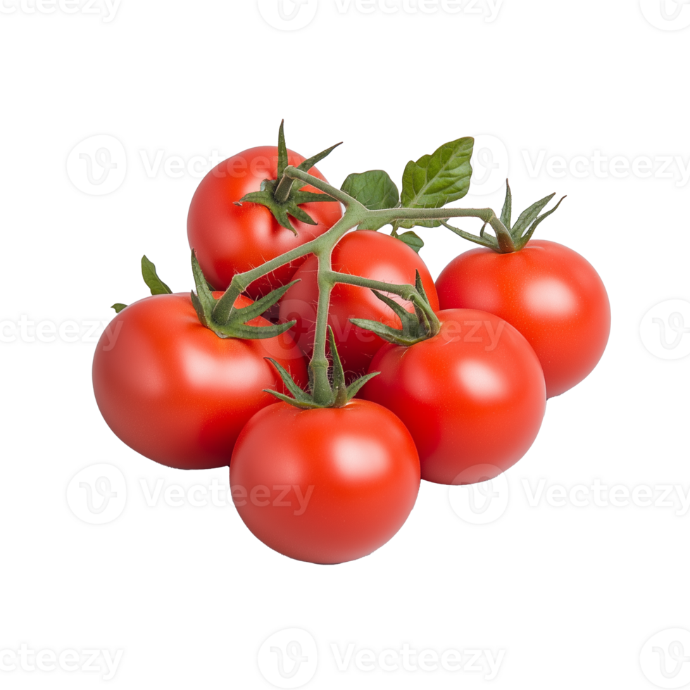 Bunch of ripe red tomatoes on transparent background png