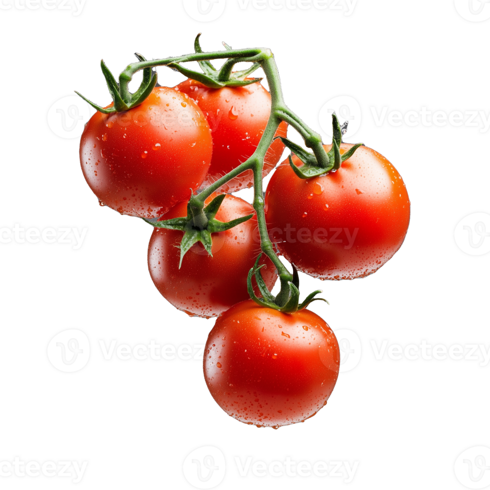 Cluster of fresh tomatoes on vine on transparent background png
