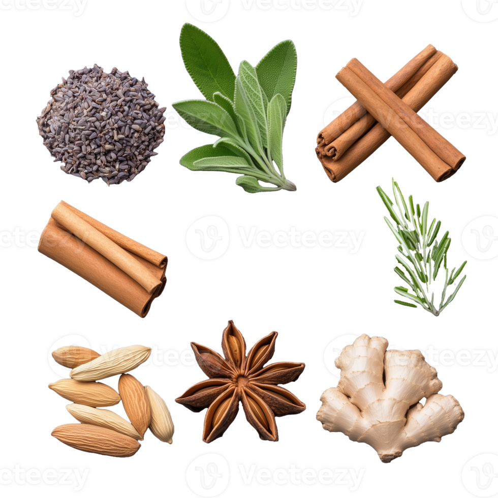 sortido ervas e especiarias misturar Incluindo sábio, lavanda, e canela em transparente fundo png