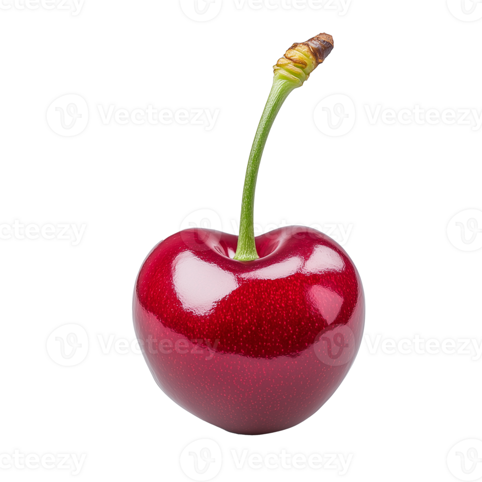 Fresh red cherry with stem isolated on transparent background png