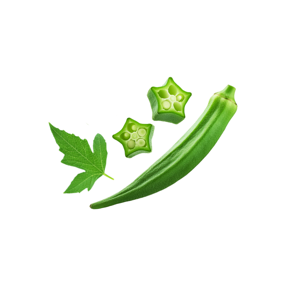 Fallen okra with with slices and leaf on transparent background png