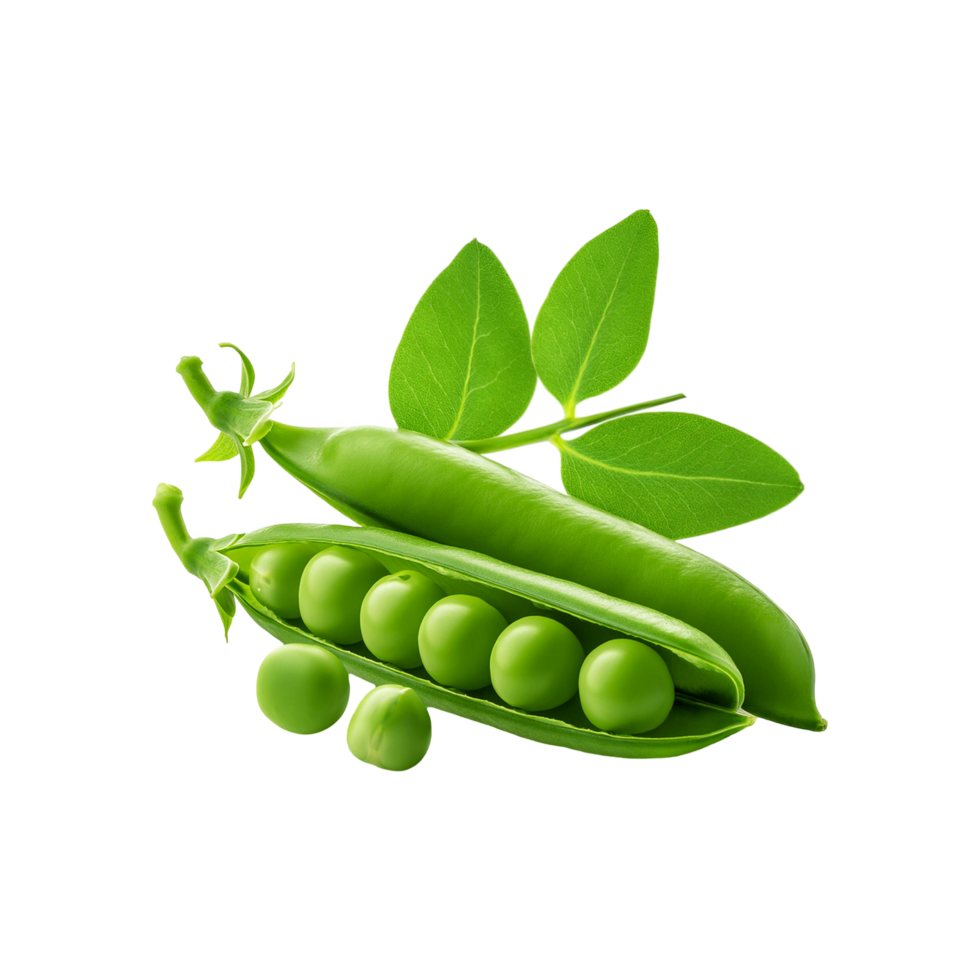 Green Pea vegetable with slice on transparent background png