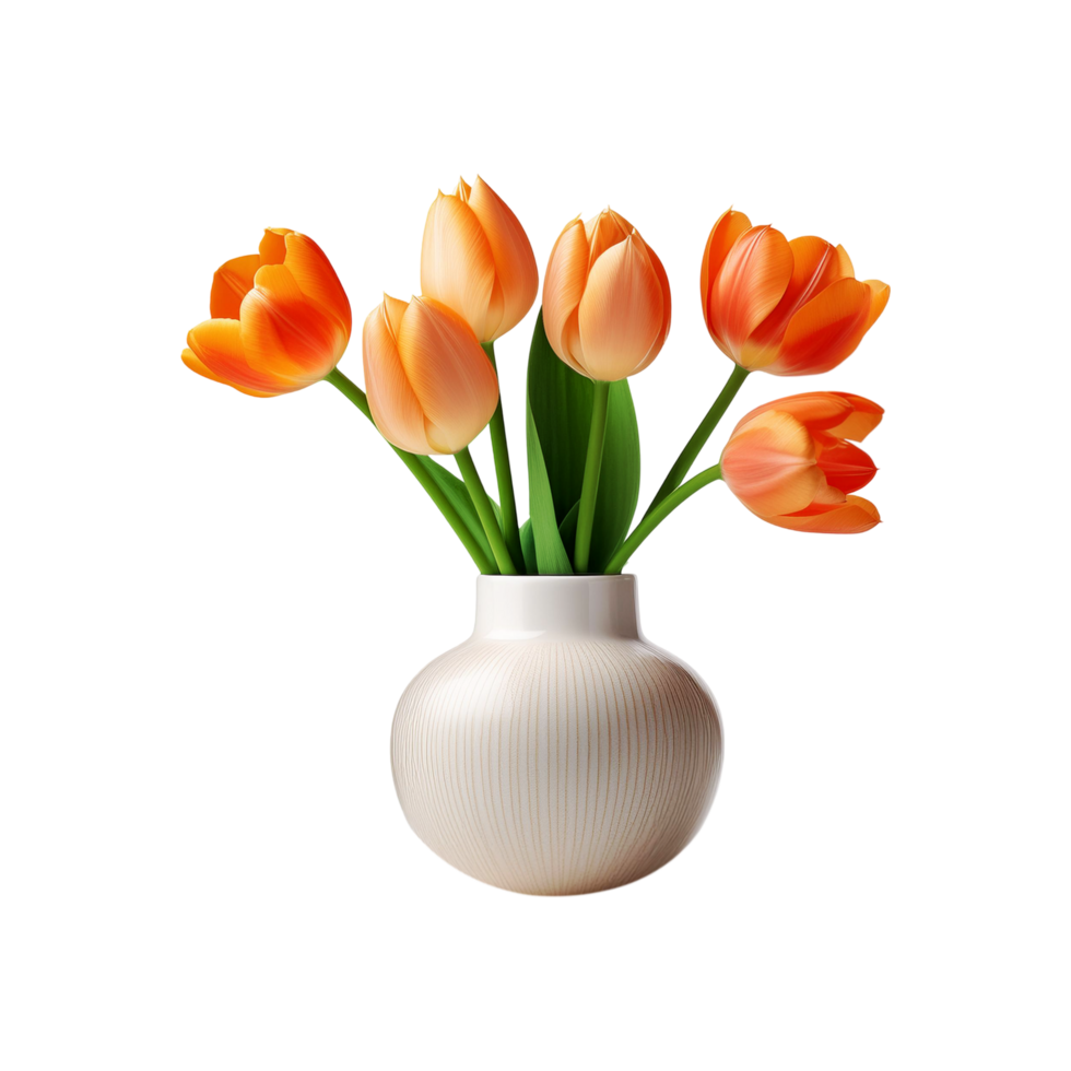 Tulip flower vase on transparent background png