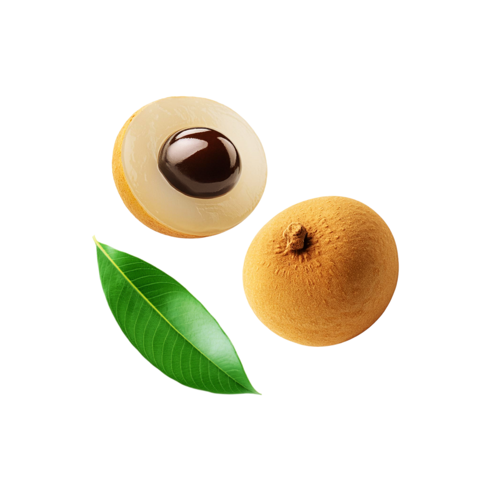 Fresh longan fruit with green leaf on transparent background png