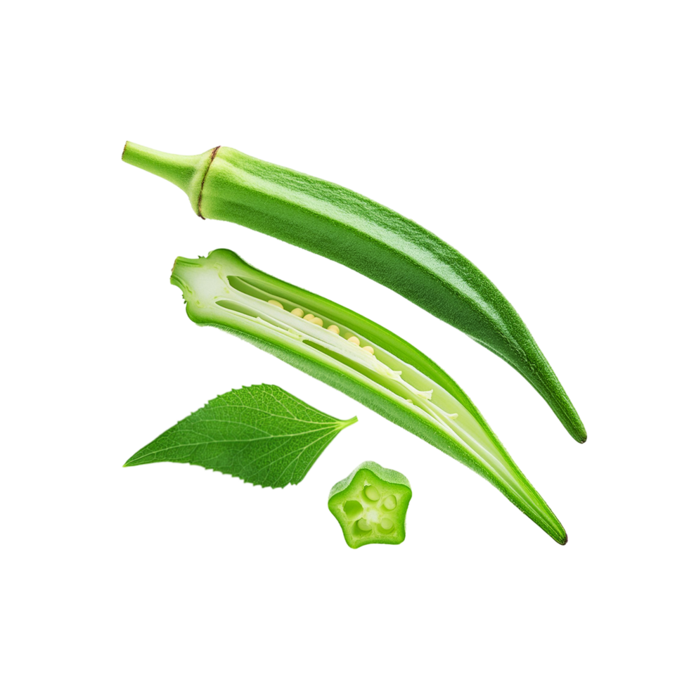 Fallen okra with with leaf on transparent background png