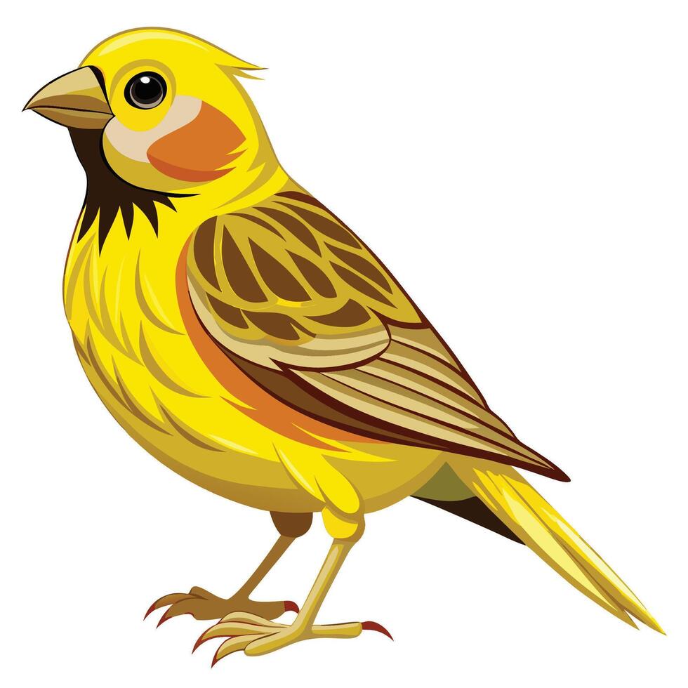 Smooth Canary Line Design vector