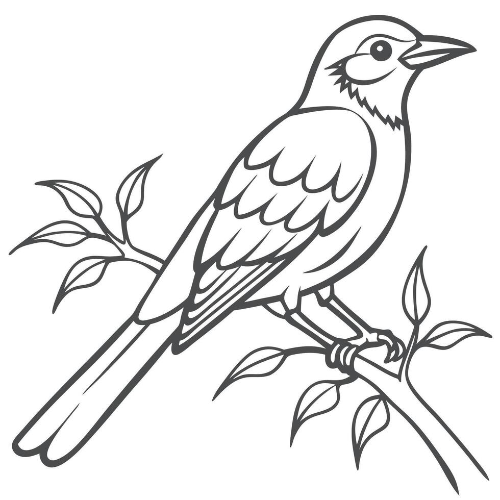 Bird on Branch Drawing Outline vector
