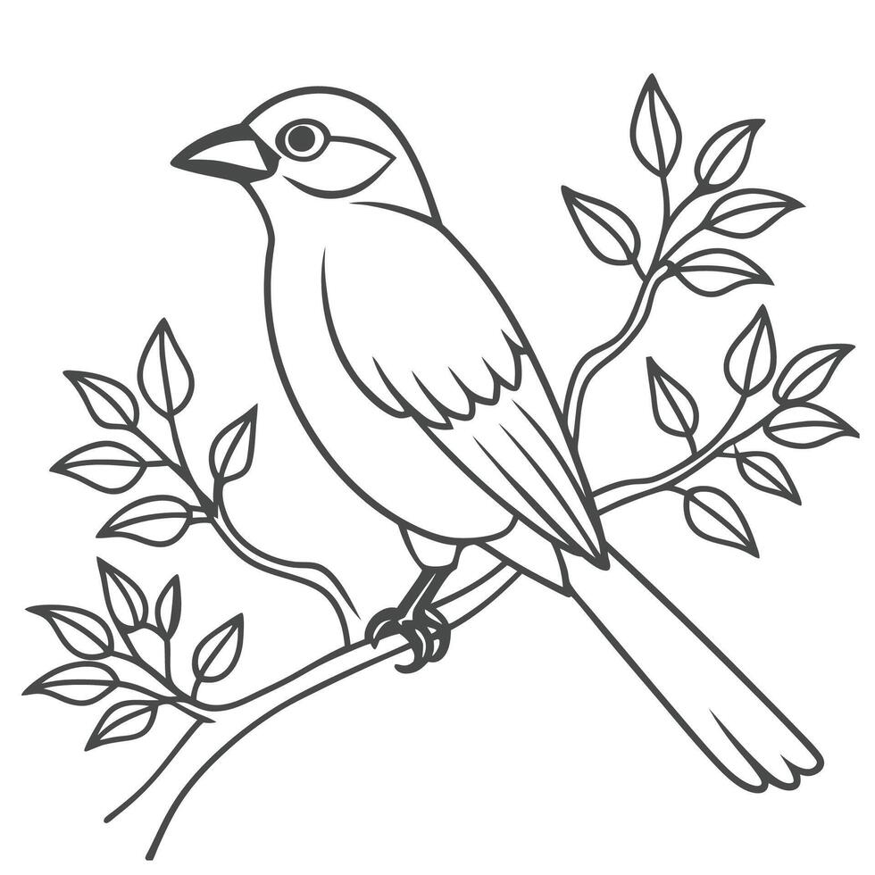 Tree Branch with Bird Outline for kid vector