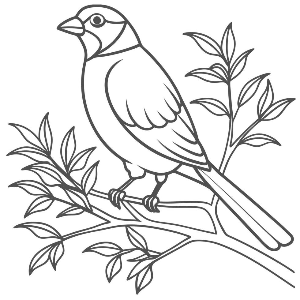 Elegant Bird Outline on Tree Branch on white vector