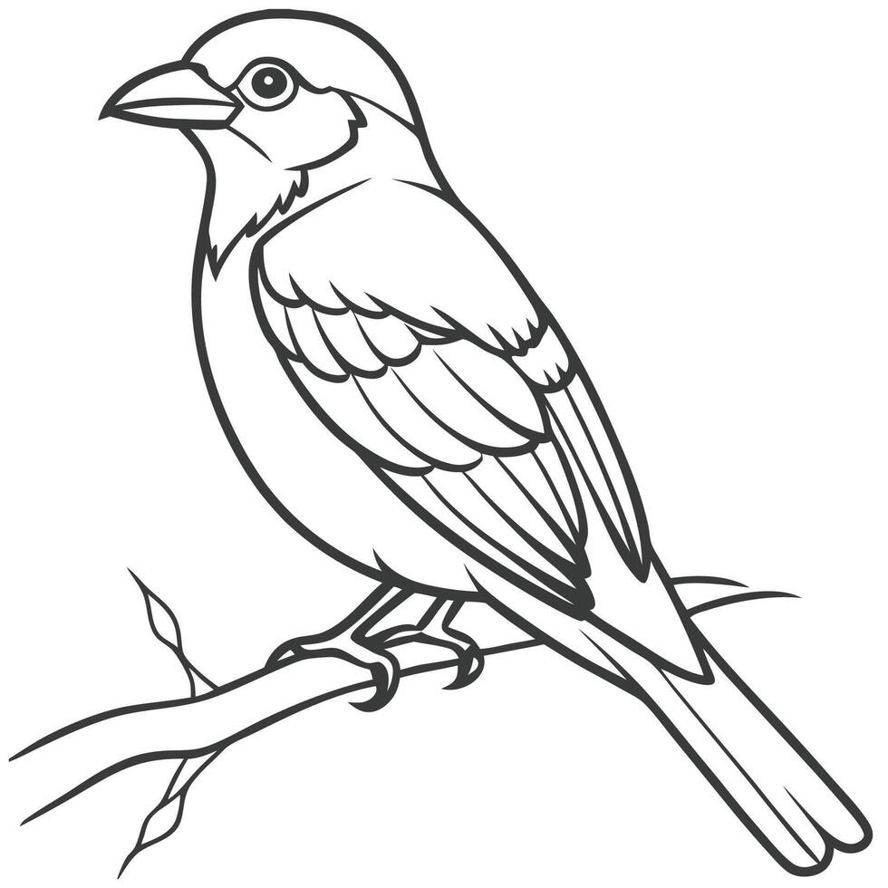 Bird on Branch Line Art vector