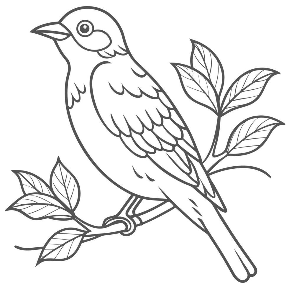 Bird Perched on Tree Branch Outline vector