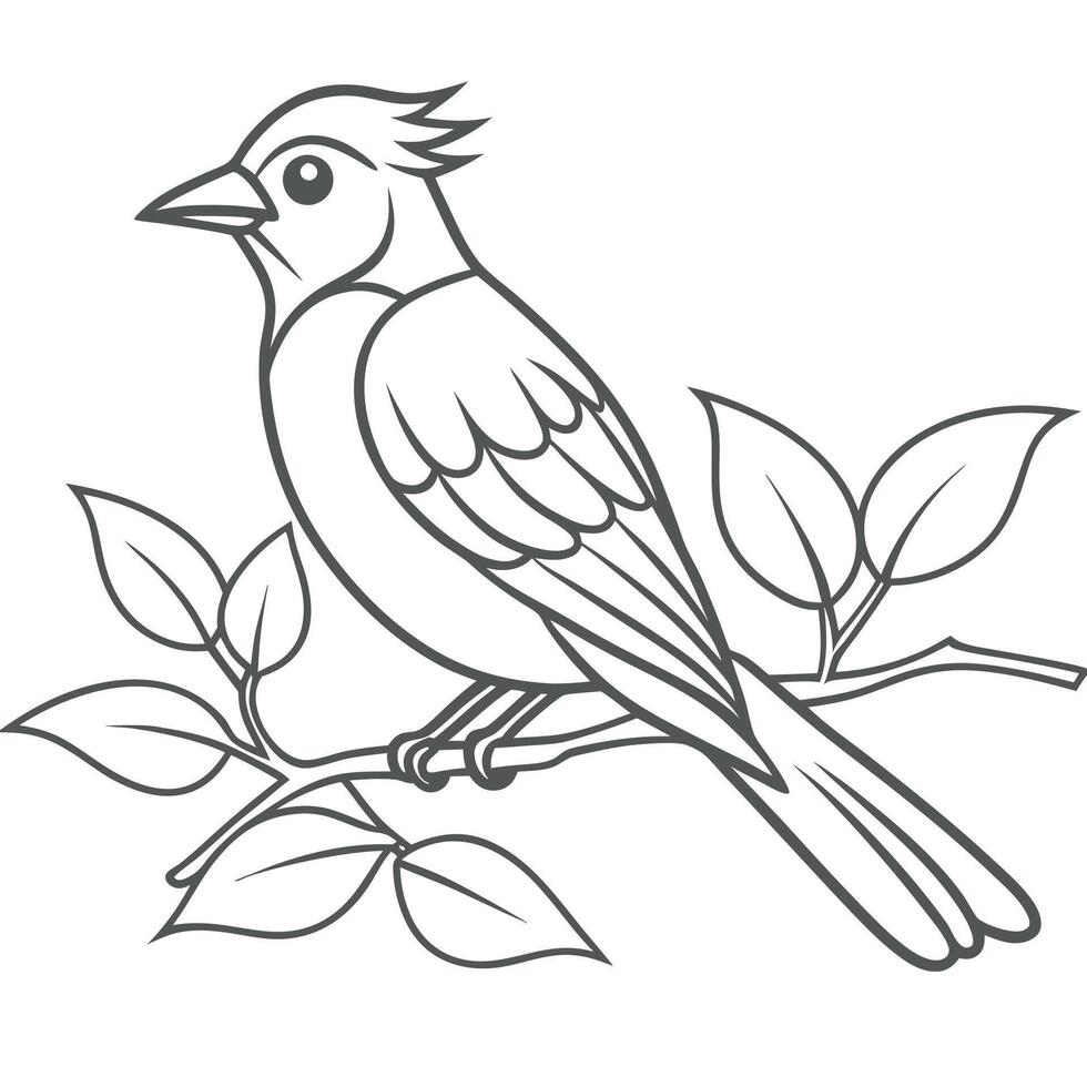 Bird Silhouette on Tree Limb vector
