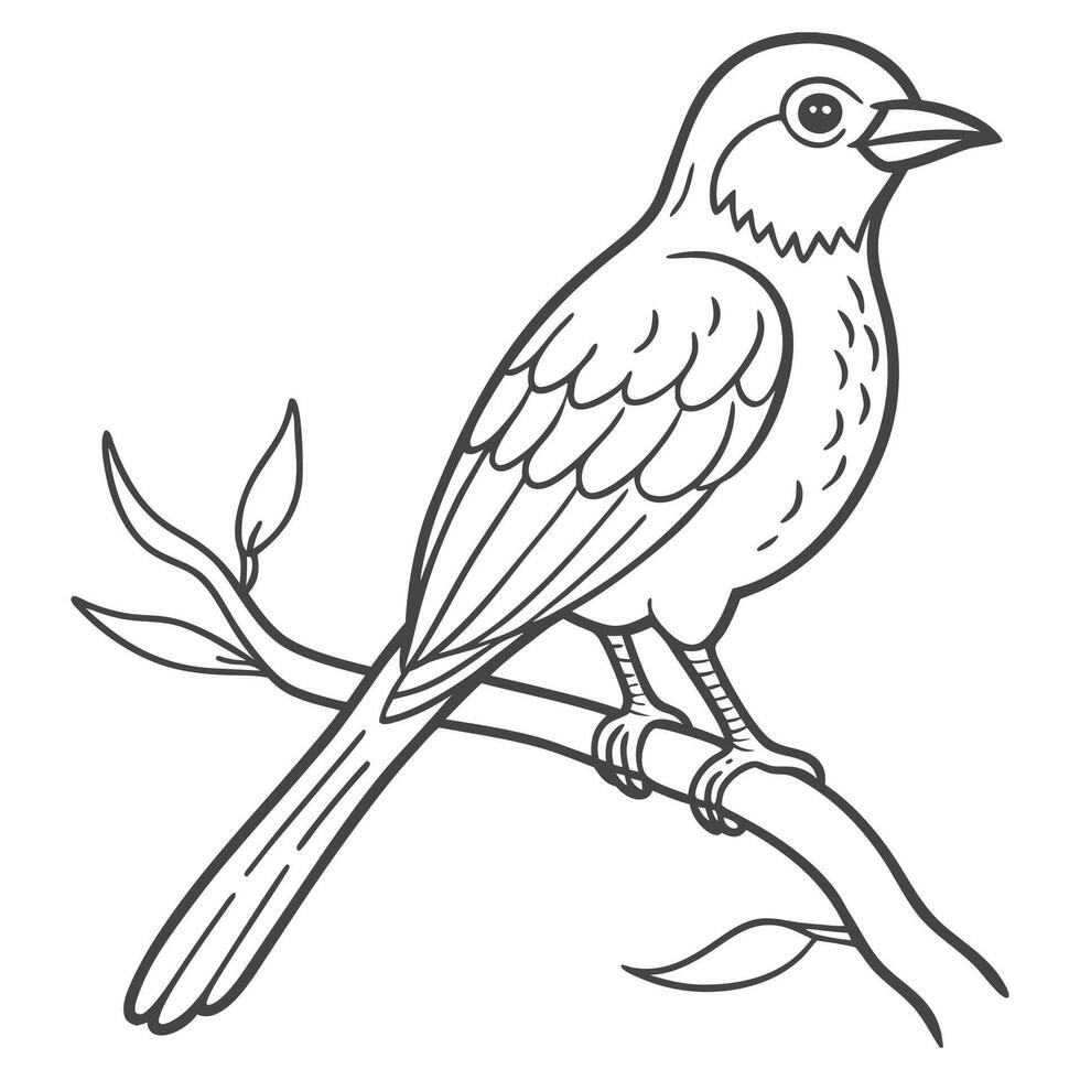 Bird Perched on Tree Limb Drawing vector