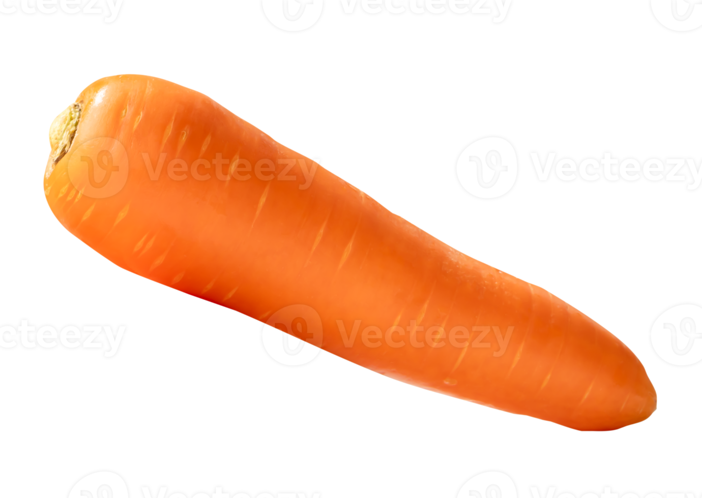 Side view of one fresh orange carrot isolated with clipping path in file format png