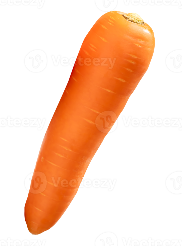 Top view of one fresh orange carrot isolated with clipping path in file format png