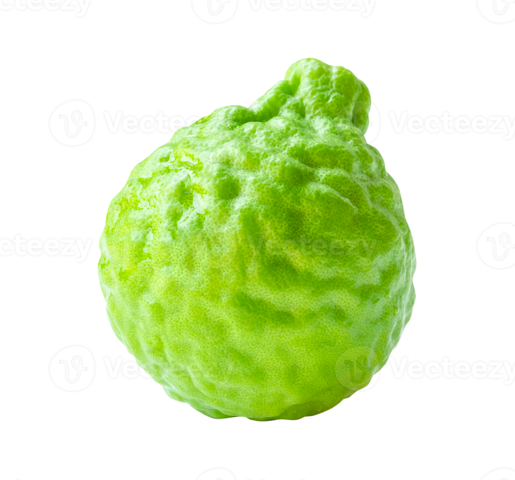 Side view of single fresh bergamot fruit or kaffir lime isolated with clipping path in file format png