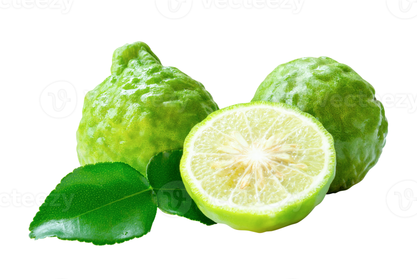 Front view of fresh green bergamot fruits or kaffir lime with half and green leaf in stack isolated with clipping path in file format png