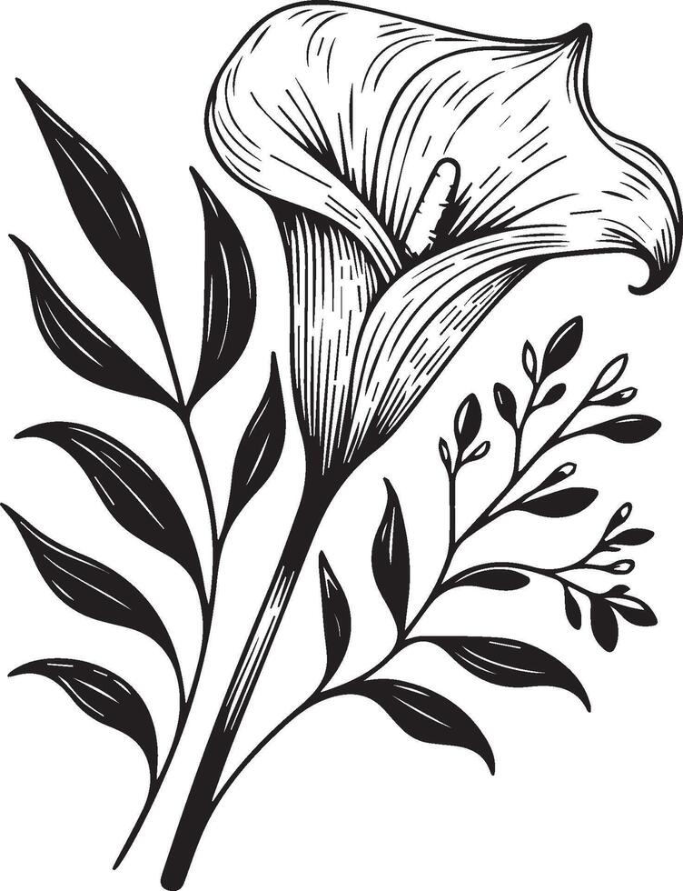 Cute flower coloring pages, calla drawing, Hand drawn botanical summer elements bouquet of calla line art coloring page, easy flower drawing. calla flower art, outline calla flower drawing vector