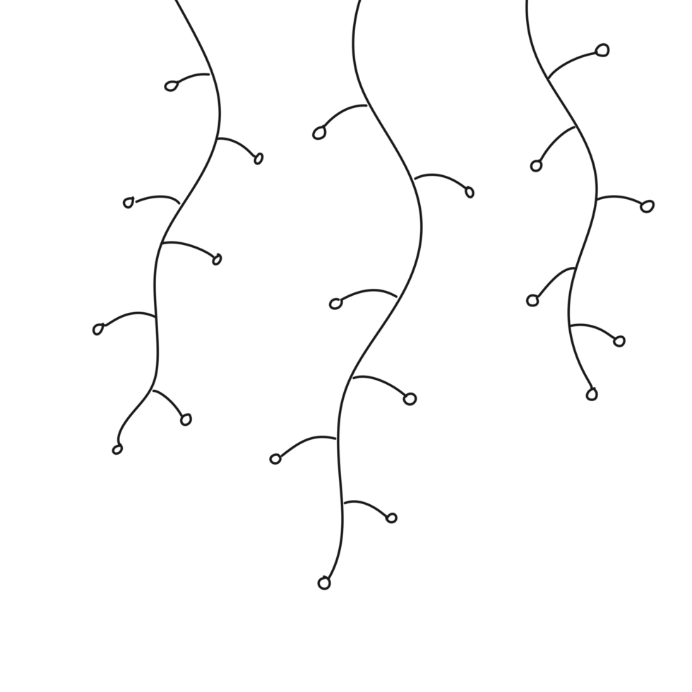 Whimsical Floral Vines with Orange Flowers Minimalist Line Art Vines png