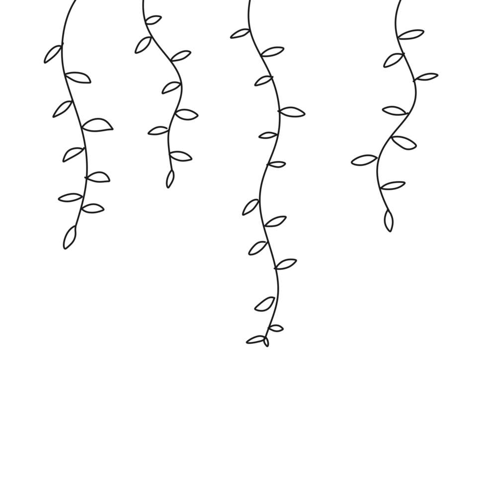 Elegant Hand-Drawn Plant Illustrations png