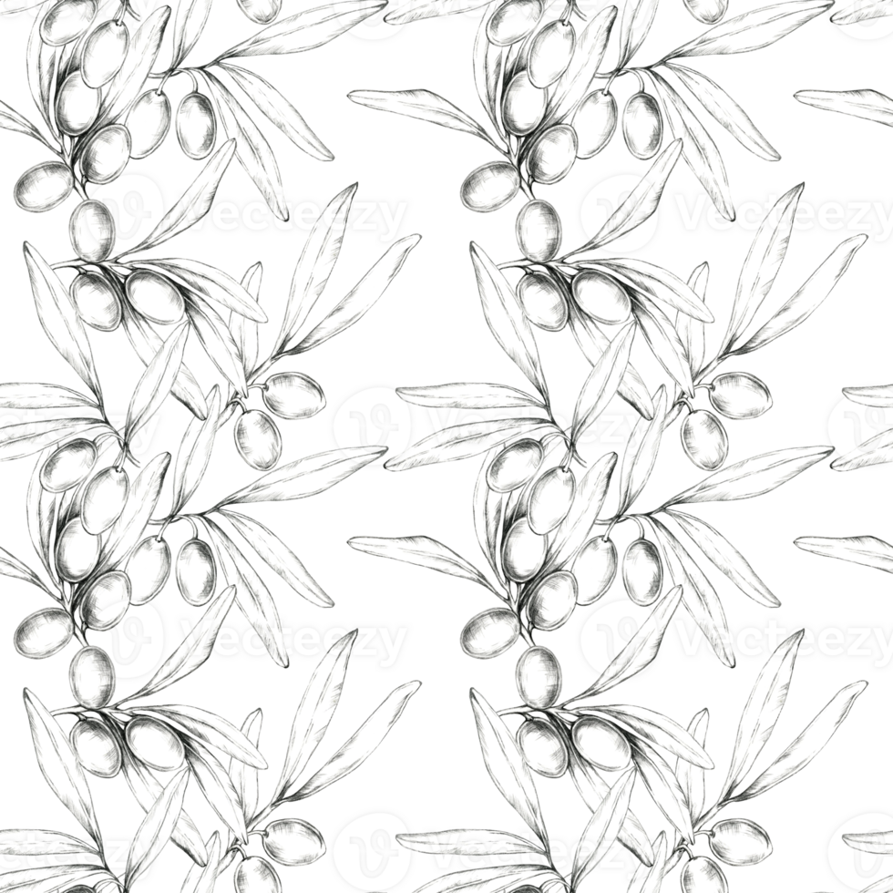 This seamless pencil-drawn pattern features olive branches and olives. Clipart ideal for textile design, wallpaper, or gift wrap, providing a detailed natural element to various products png