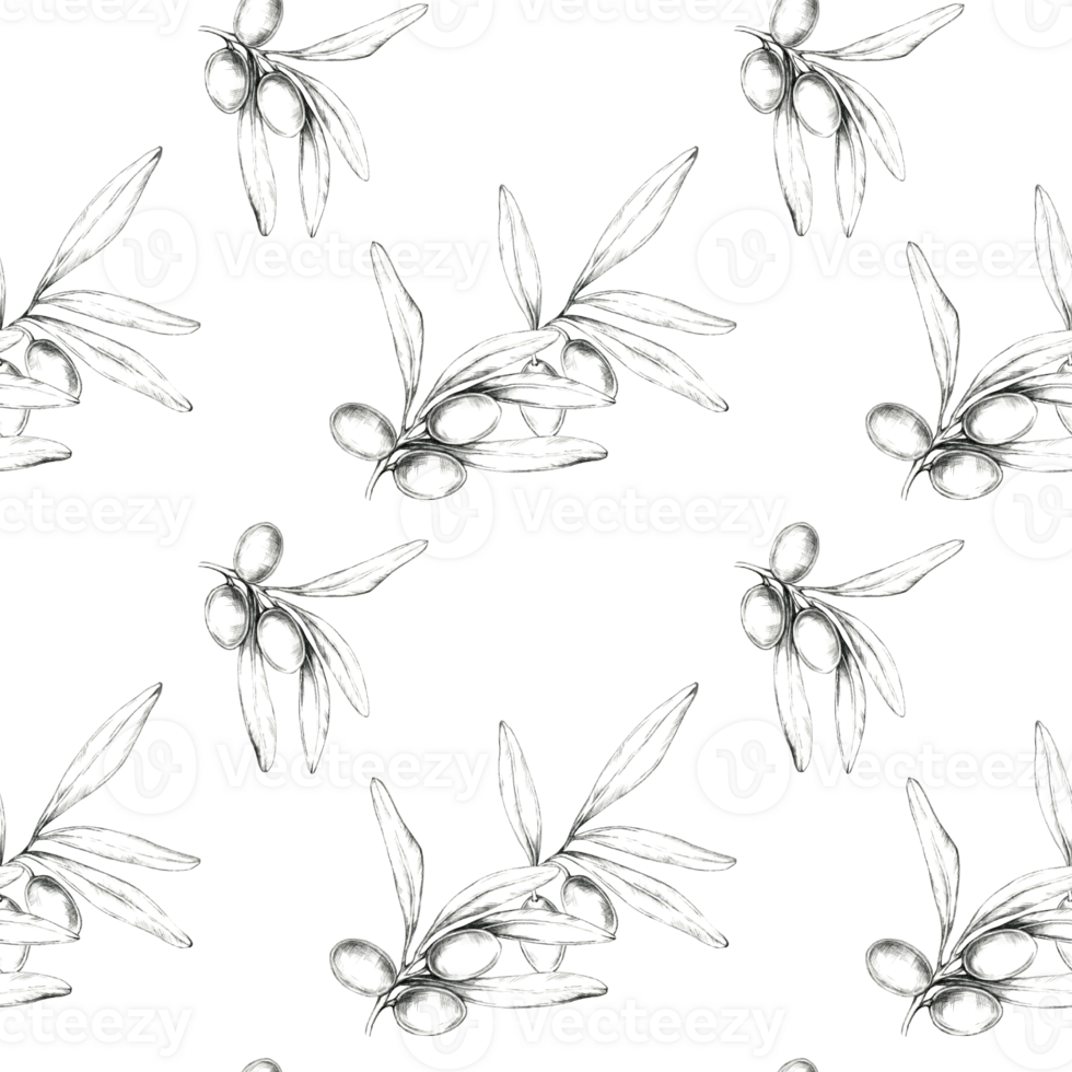 Olives and olive branches sketched in pencil. Minimalistic drawing seamless pattern. This illustration is ideal for home decor, textiles, or wallpaper, adding an organic botanical element png