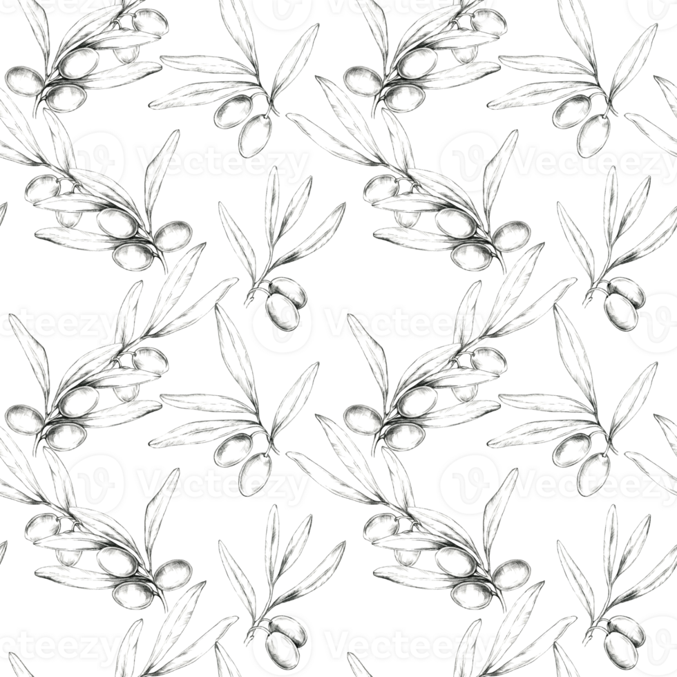 Pencil-drawn olives and branches form a seamless pattern. Hand drawn illustration, suitable for fabric printing, wallpaper, or wrapping paper designs, bringing natural motif to various projects png