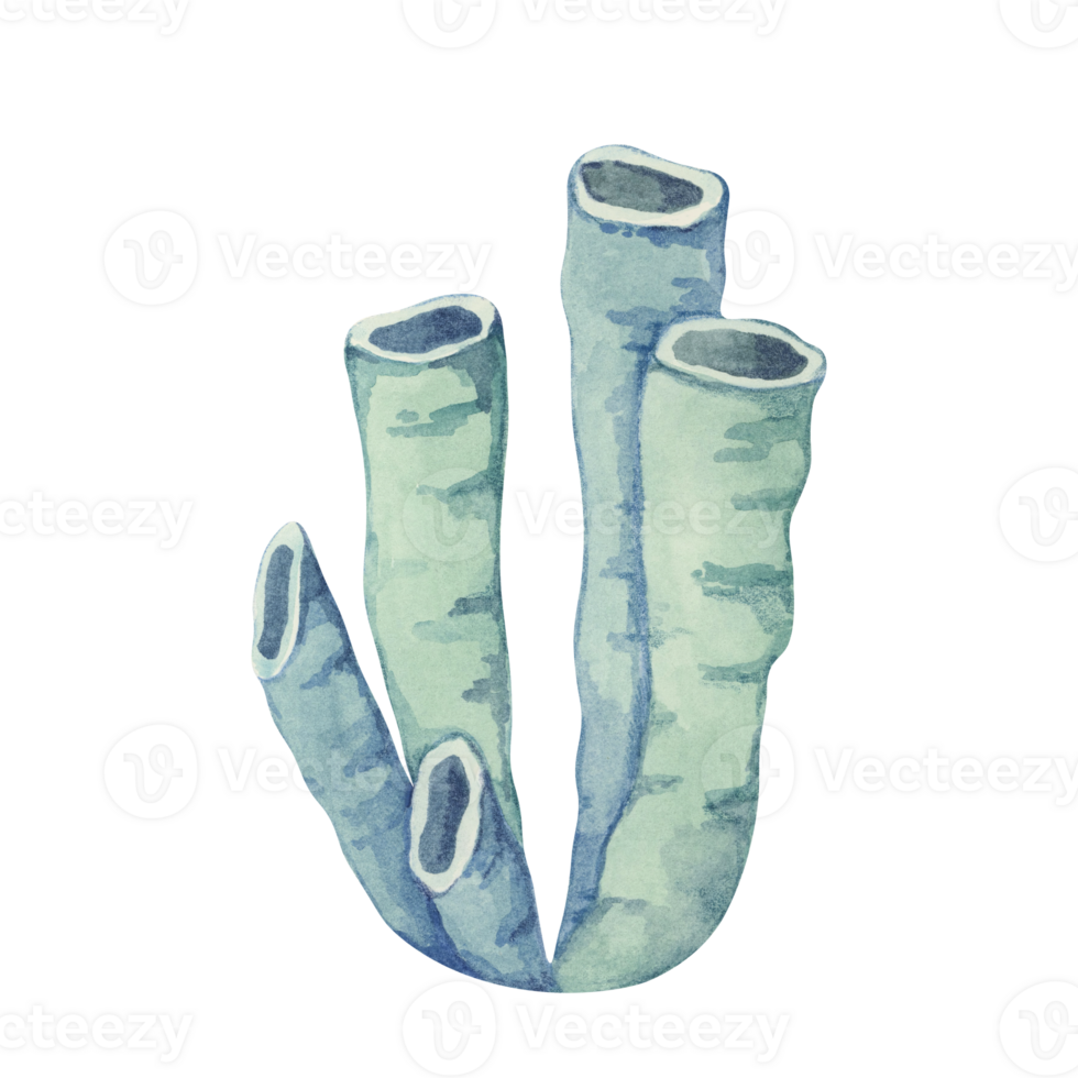 Pale blue watercolor sea sponge illustration with tube-like shapes. Aplysina fistularis isolated clipart for underwater and marine projects that need a unique coral reef element png