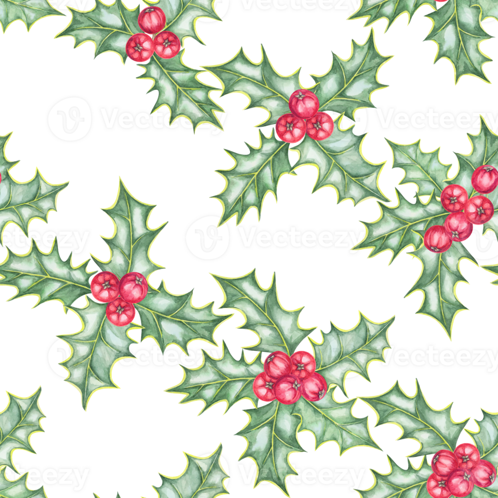 Holly leaves and red berries illustrated in a seamless watercolor pattern. Ilex clipart for designing holiday-themed fabric, wrapping paper, festive apparel, and custom stationery png