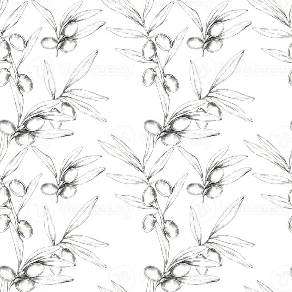 Olives, leaves and branches sketched in pencil. Seamless pattern hand drawn illustration. This clipart is ideal for textiles, home decor, or packaging designs, with detailed natural botanical motif png