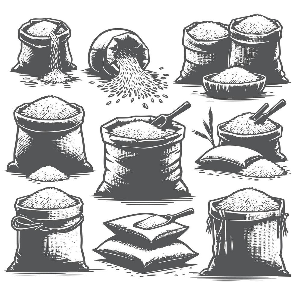 Sugar bags and rice in bags, black and white illustration vector
