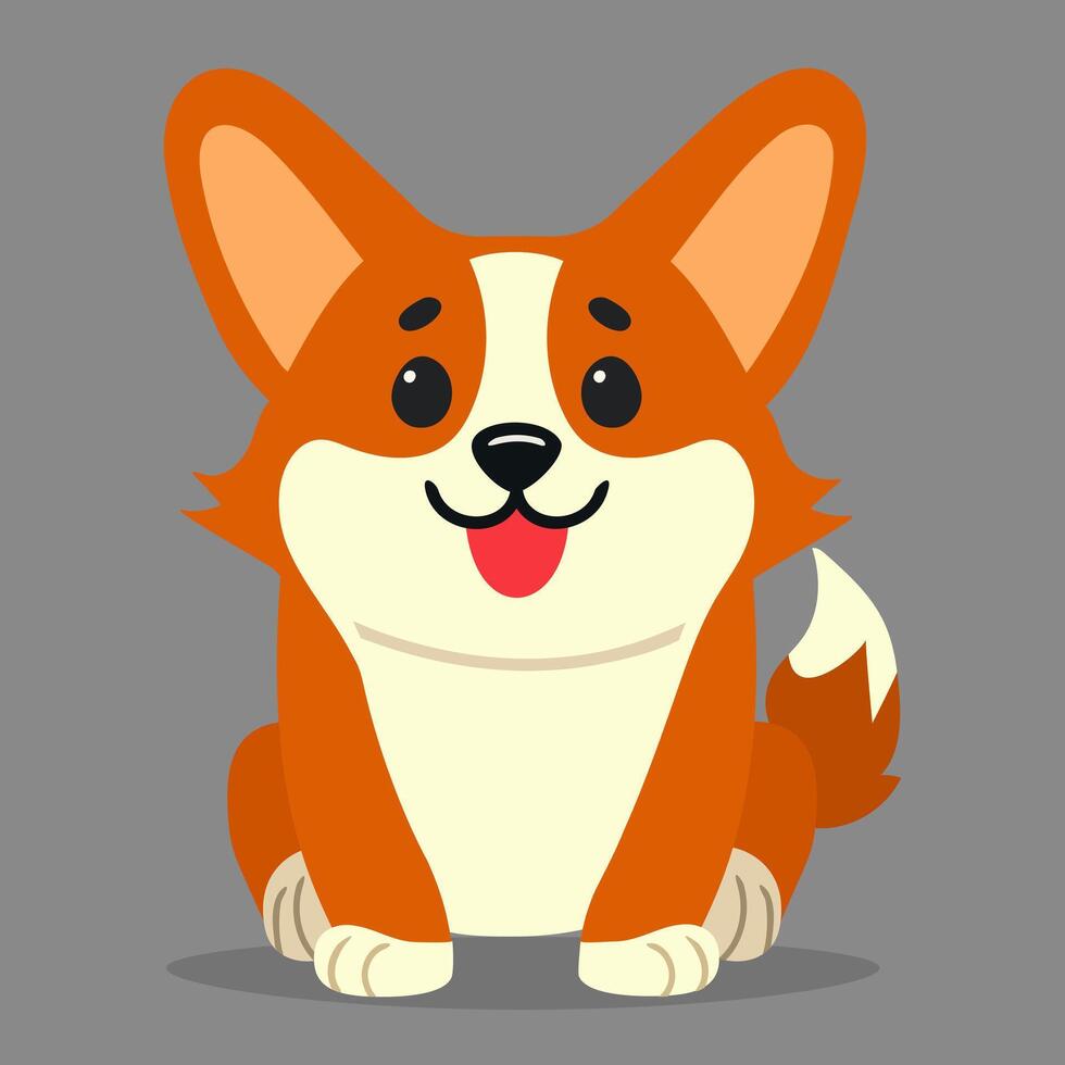 Cute corgi dog flat illustration isolated on grey background vector