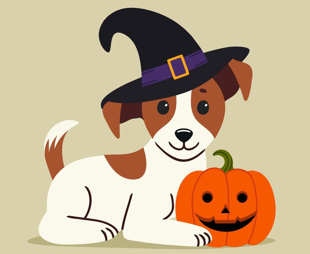 Cute jack russell dog in a witchs hat and with a pumpkin vector